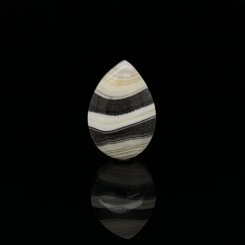 Puede incluir: Una piedra preciosa en cabuj&oacute;n en forma de l&aacute;grima con rayas blancas y negras. La piedra est&aacute; pulida y tiene una superficie lisa.