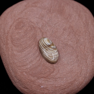 Peut inclure: Gros plan sur une pierre ovale de couleur brun clair et blanc avec un motif en bandes. La pierre est posée sur une roche brun rougeâtre.