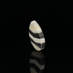 Puede incluir: Una piedra preciosa cabuj&oacute;n de forma ovalada con rayas blancas y negras. La piedra preciosa tiene una superficie lisa y pulida.