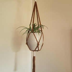 May include: A brown and white macrame plant hanger, holding a white ceramic pot with a green plant. The macrame is suspended from a wooden ring. The pot has a textured surface.