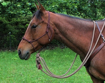 May include: A brown horse with a saddle and bridle standing in a grassy field. The horse is wearing a brown leather saddle with a white saddle blanket and a brown leather bridle with a brown leather reins.