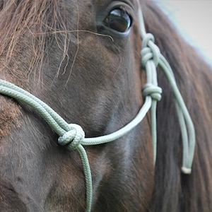 Training Halters - 26 Colors - 2 or 4 Knots - Premium Yacht Rope