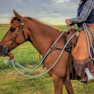 Custom Mecates - 9/16&quot; & 1/2&quot; Yacht Rope - 38 Colors w/ ZIGZAG COLORS!!  ----*No Slobber Straps*