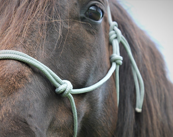 Custom Soft or Stiff, 2 Knot or 4 Knot Rope Halters - Etsy