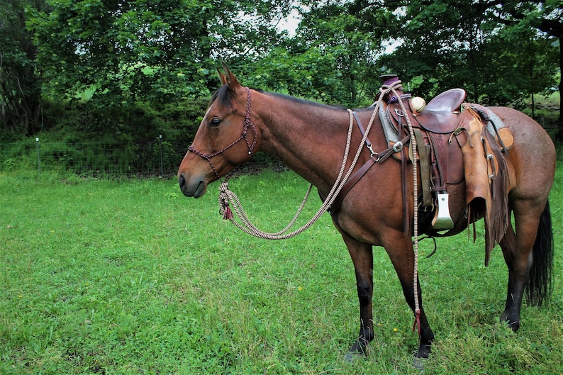 Rope Halter & Mecates Natural Horsemanship Hackamore 21 Etsy
