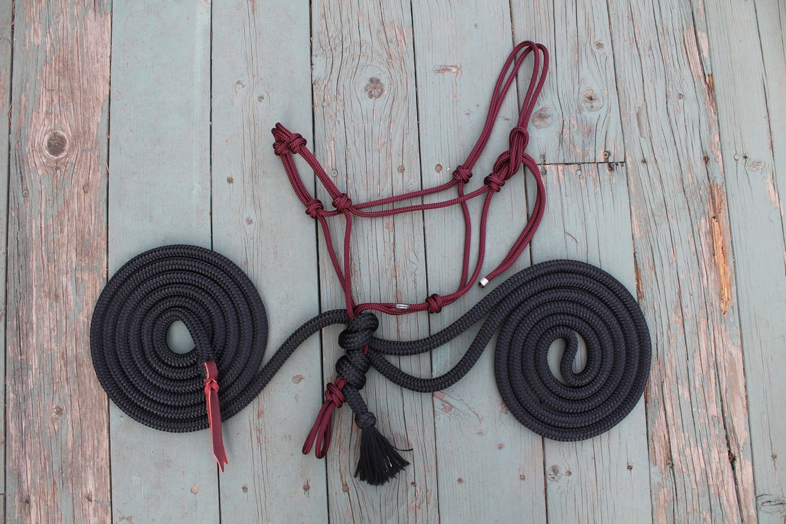 Rope Halter & Mecates Caballos Naturales Hackamore 20 Etsy