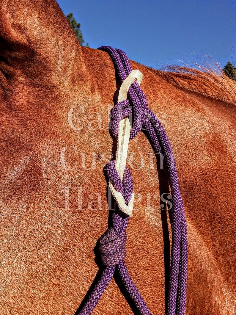 The Breakaway For ANY Rope Halter 4 pk Etsy