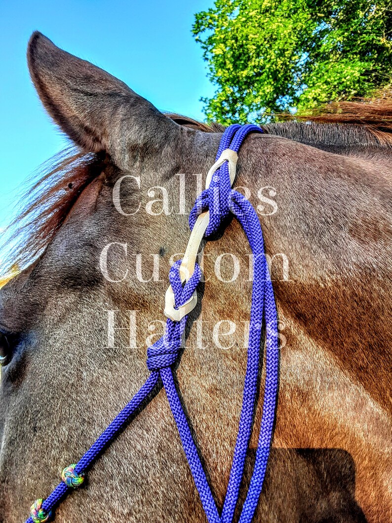 The Breakaway For ANY Rope Halter 4 pk Etsy