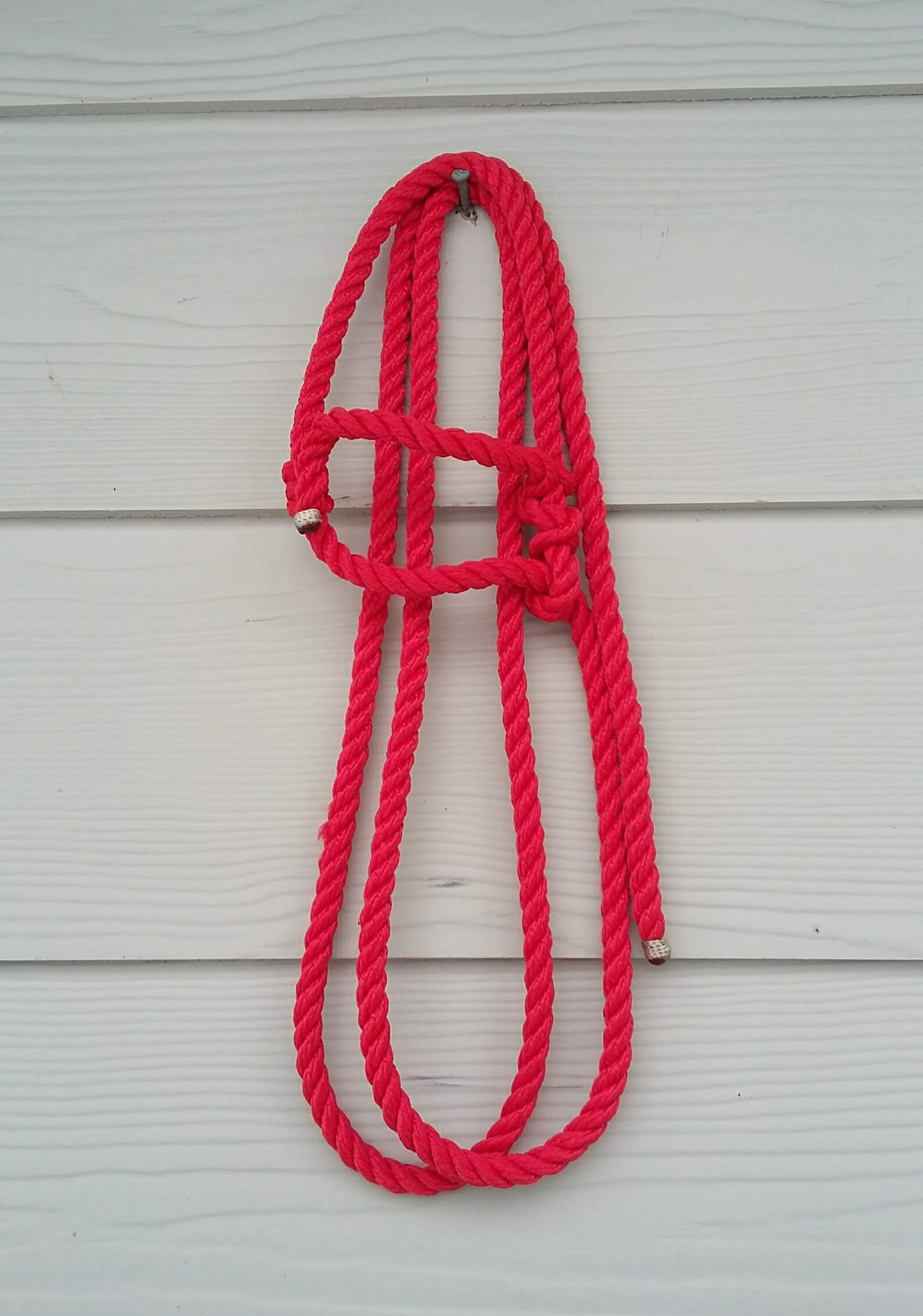 Sheep Rope Halter Adult Size Four Color Options Etsy