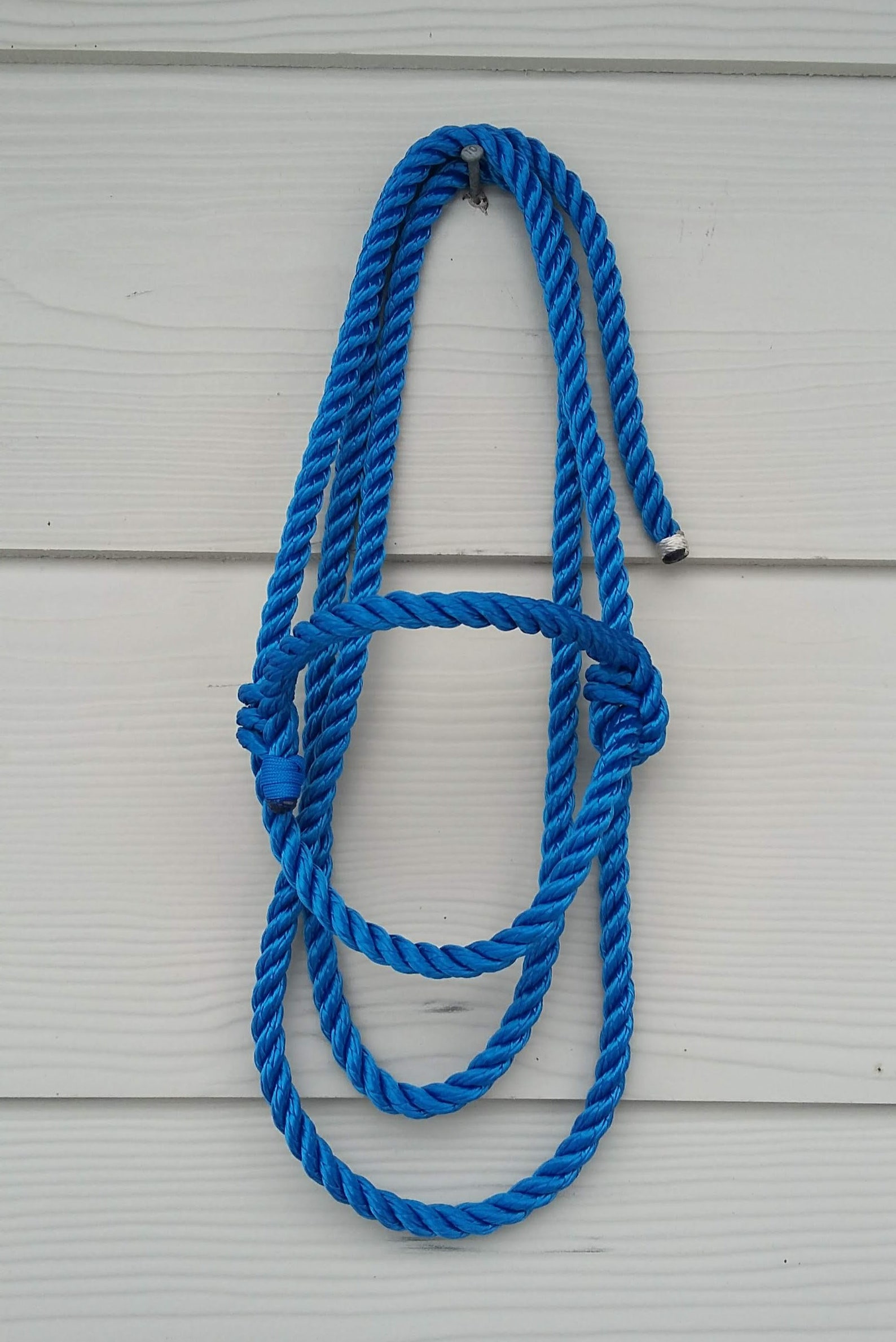 Sheep Rope Halter Adult Size Four Color Options Etsy