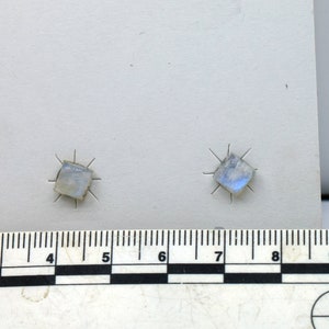 Dainty Blue Moonstone Square Cabochon Studs - 5mm Gemstone Earrings on Surgical Steel Posts