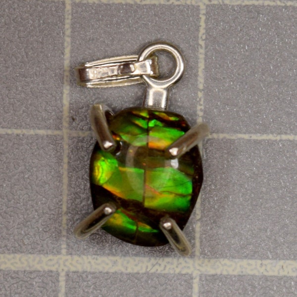 Canadian Ammonite Ammolite Pendant Freeform Pendant in Sterling Silver 20 mm X 8 mm on an Adjustable Chain