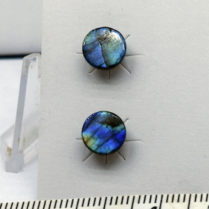 8 mm Diameter Labradorite Stud Earrings on Surgical Stainless Steel