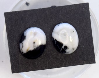 White Buffalo Earrings Turquoise Earrings on Surgical Steel Studs 10 mm X 8 mm Stud Earrings