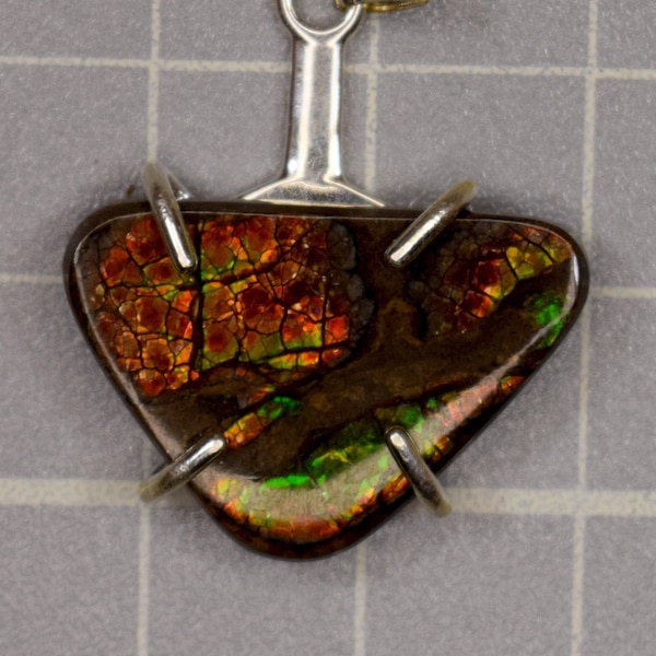 Canadian Ammonite Ammolite Pendant Freeform Pendant in Sterling Silver 23 mm X 16 mm on an Adjustable Chain