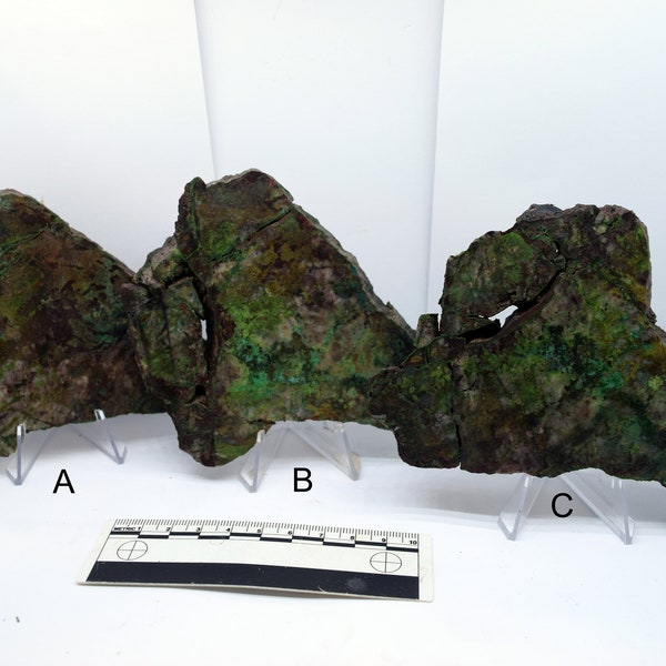 Arizona Parrot Wing Chrysocolla Malachite and Cuprite Blend Copper ore