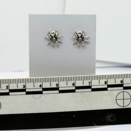 Tarantel-Ohrstecker – Sterlingsilber, 12 mm, Insekten- und Spinnentier-Schmuck, Halloween-Geschenk