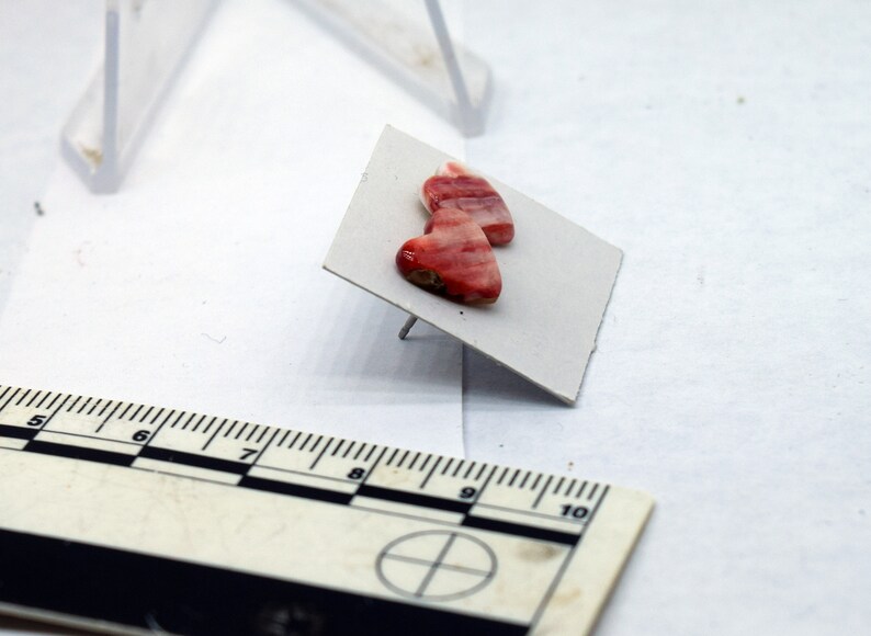 Orange Spiny Oyster Heart Surgical Steel Stud Earrings 9 mm wide hearts