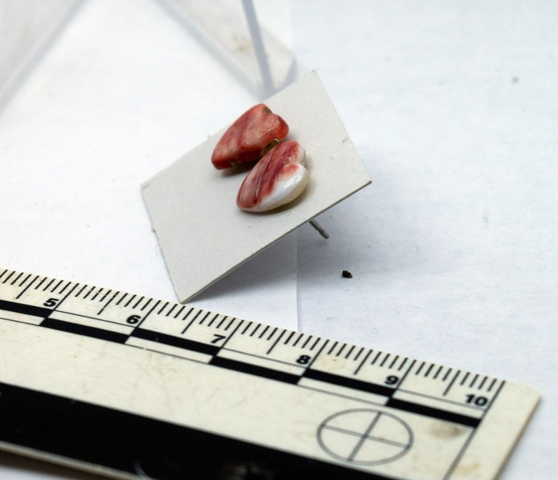 Orange Spiny Oyster Heart Surgical Steel Stud Earrings 9 mm wide hearts