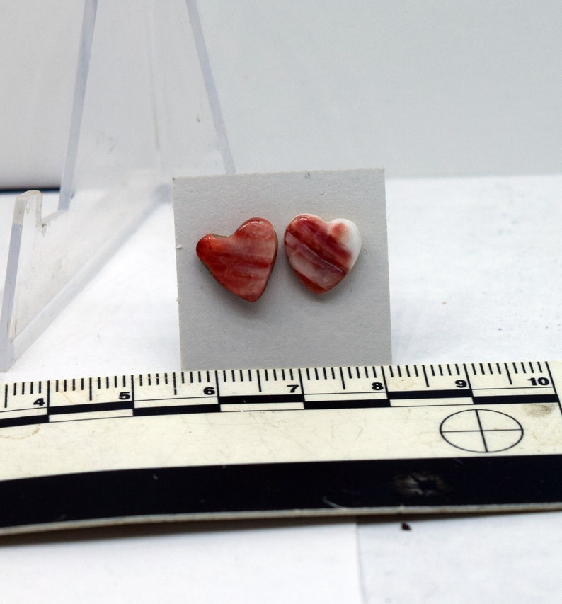 Orange Spiny Oyster Heart Surgical Steel Stud Earrings 9 mm wide hearts