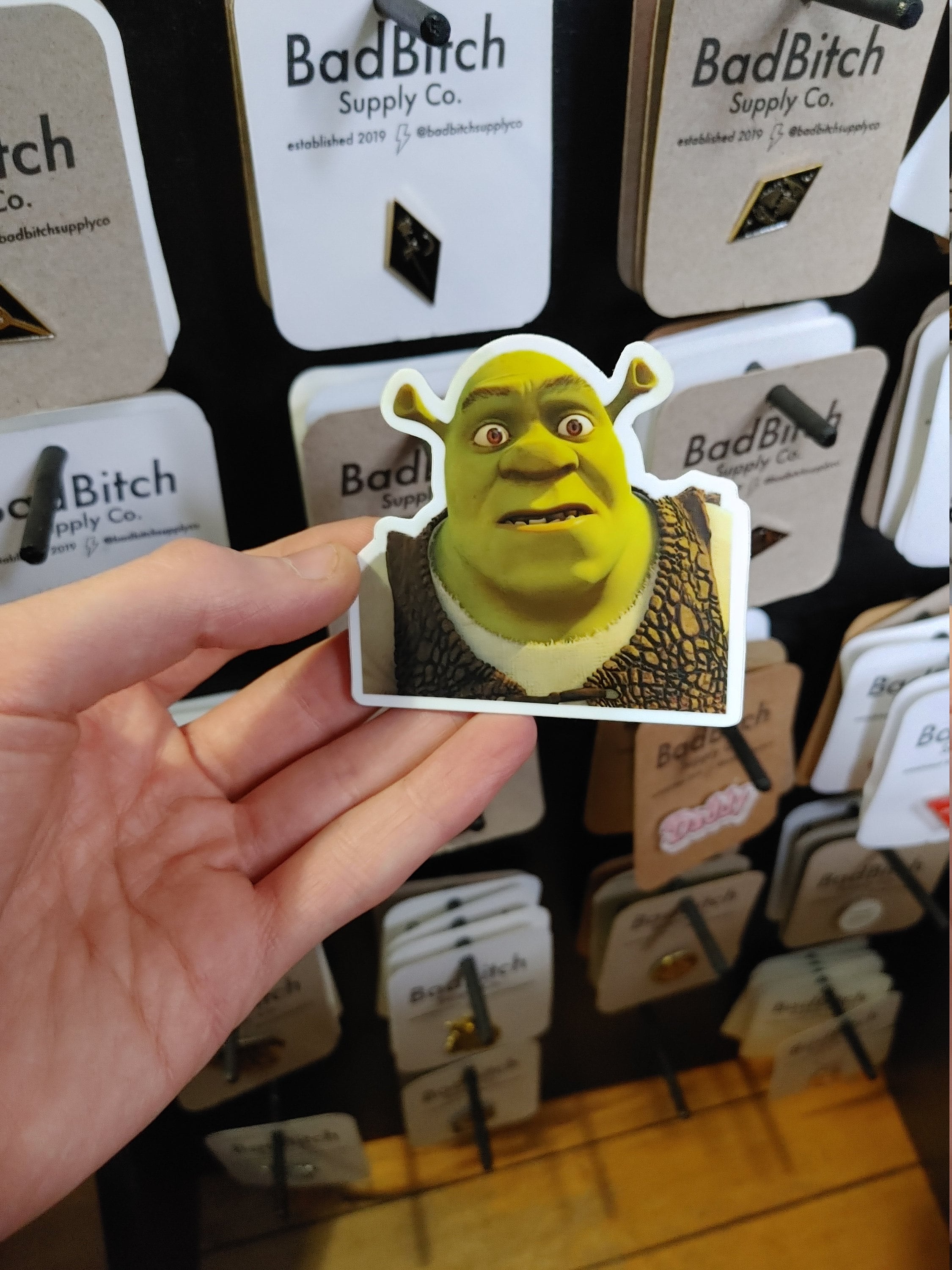 Shrek Meme Funny Vinyl Sticker - 5 Pack