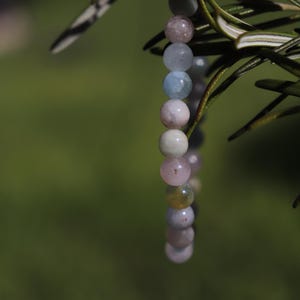 Peut inclure: Un bracelet de perles de pierres précieuses de couleurs pastel, notamment rose, bleu et vert, est suspendu à une tige de plante verte. Les perles rondes créent une esthétique délicate et naturelle. Un bijou élégant.