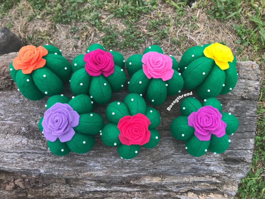 Cactus Pin Cushion,sewing Pins, Pin Cushion, Succulents, Succulent ...