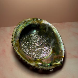 Green Abalone Shell for Smudging & Decor, Iridescent Shell for Cleansing, Rituals, Altar Use, Coastal Home Decor