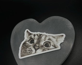 Lustiger spähender Katzen-Aufkleber, niedlicher Vinyl Kitty Aufkleber für Laptop, Wasserflasche, Journal oder Auto, lustiges Geschenk für Katzenliebhaber, wasserdichter Aufkleber