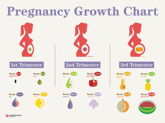 Fetal Growth Chart Pictures