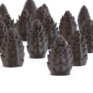 Cascadia Pine Cones x40