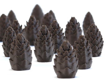 Cascadia Pine Cones x40