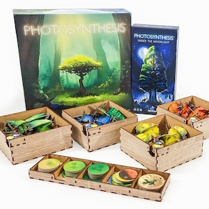 Photosynthesis Organizer Insert