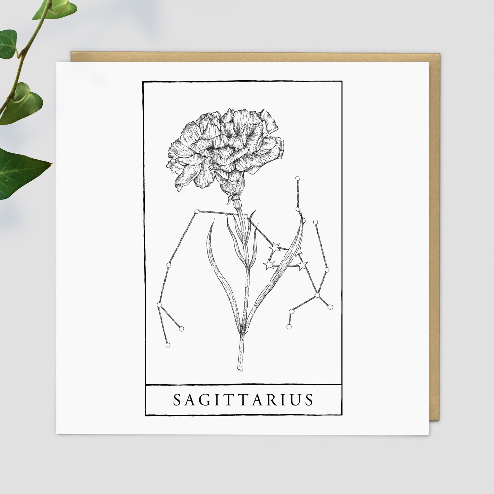 Sagittarius Birth Flower Gift Wrap Starsign Carnation Etsy