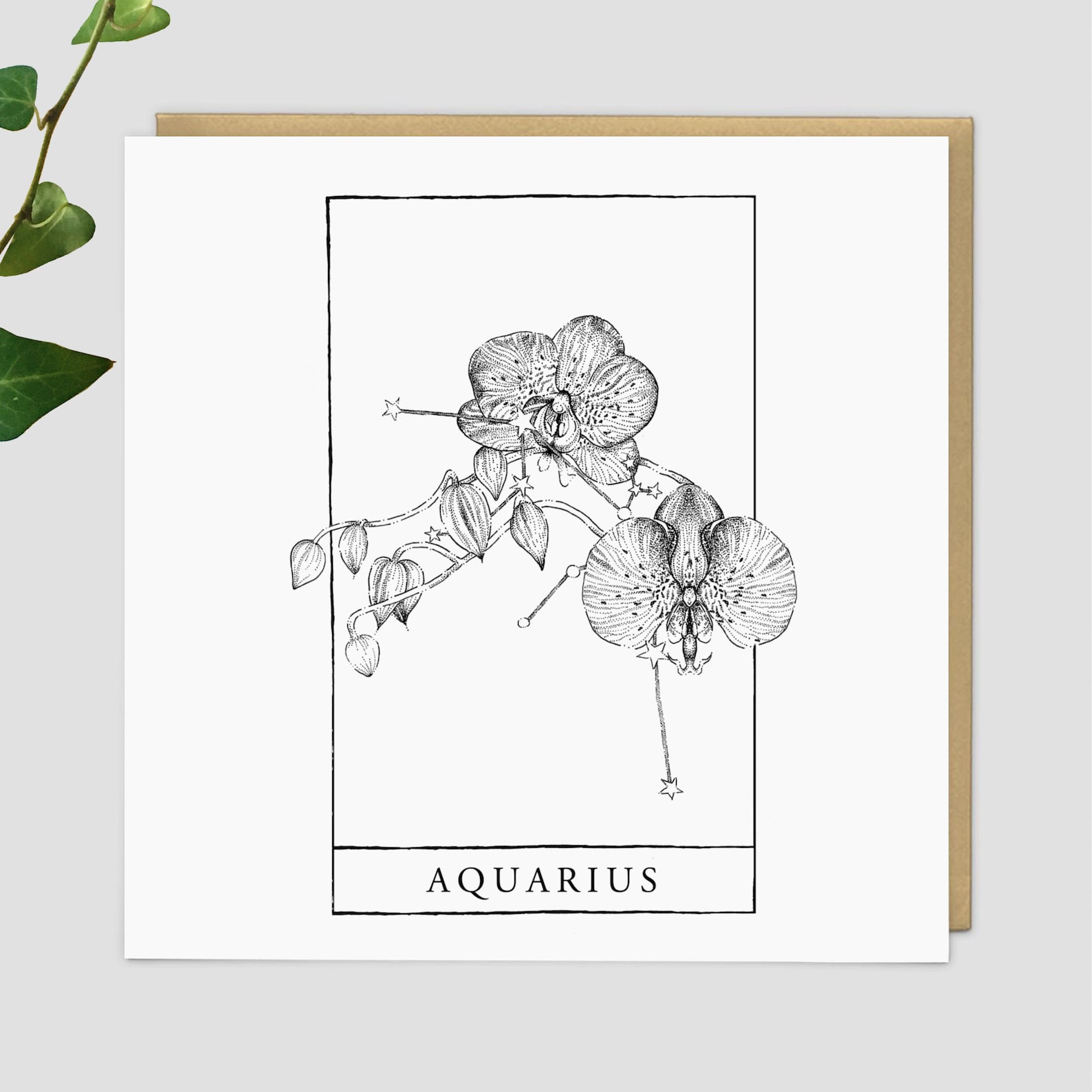 Aquarius Birth Flower Gift Wrap Starsign Orchid Flower Etsy