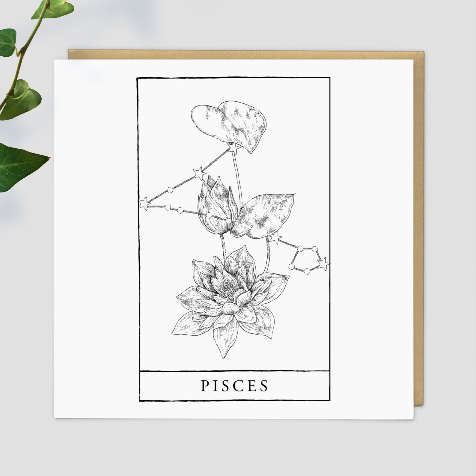 Pisces Birth Flower Gift Wrap Starsign Water Lily Flower Etsy