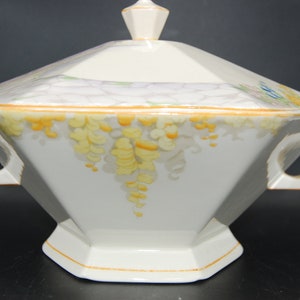 Vintage ,antique ceramic tableware , tams ware tureen 1901