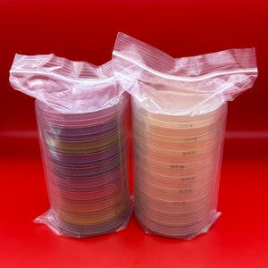 20 Random Agar or Gellan Gum Petri Dishes Polystyrene 100mm x 15mm