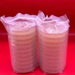 20 Malt Extract Agar Petri Dishes