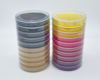 20 Random Agar or Gellan Gum Petri Dishes Polystyrene 100mm x 15mm