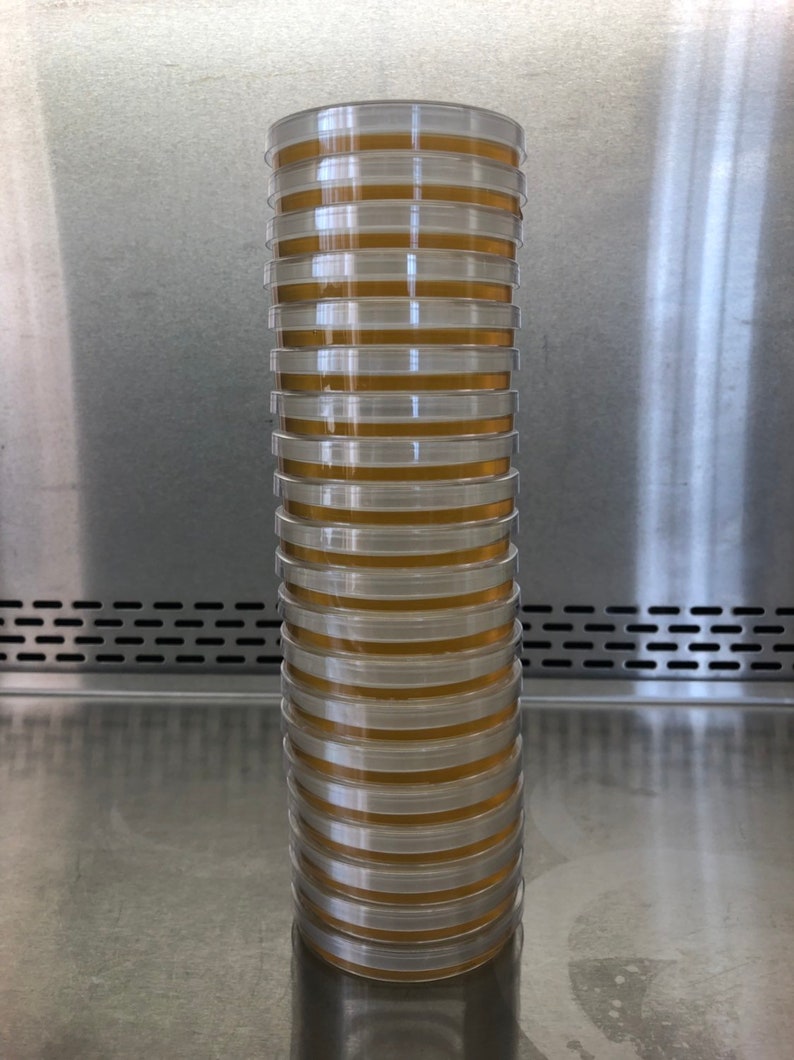 Pre-poured Oatmeal Malt Yeast Extract Agar Petri Dishes Plastic 100mm x 15mm with Parafilm 20 OMYA