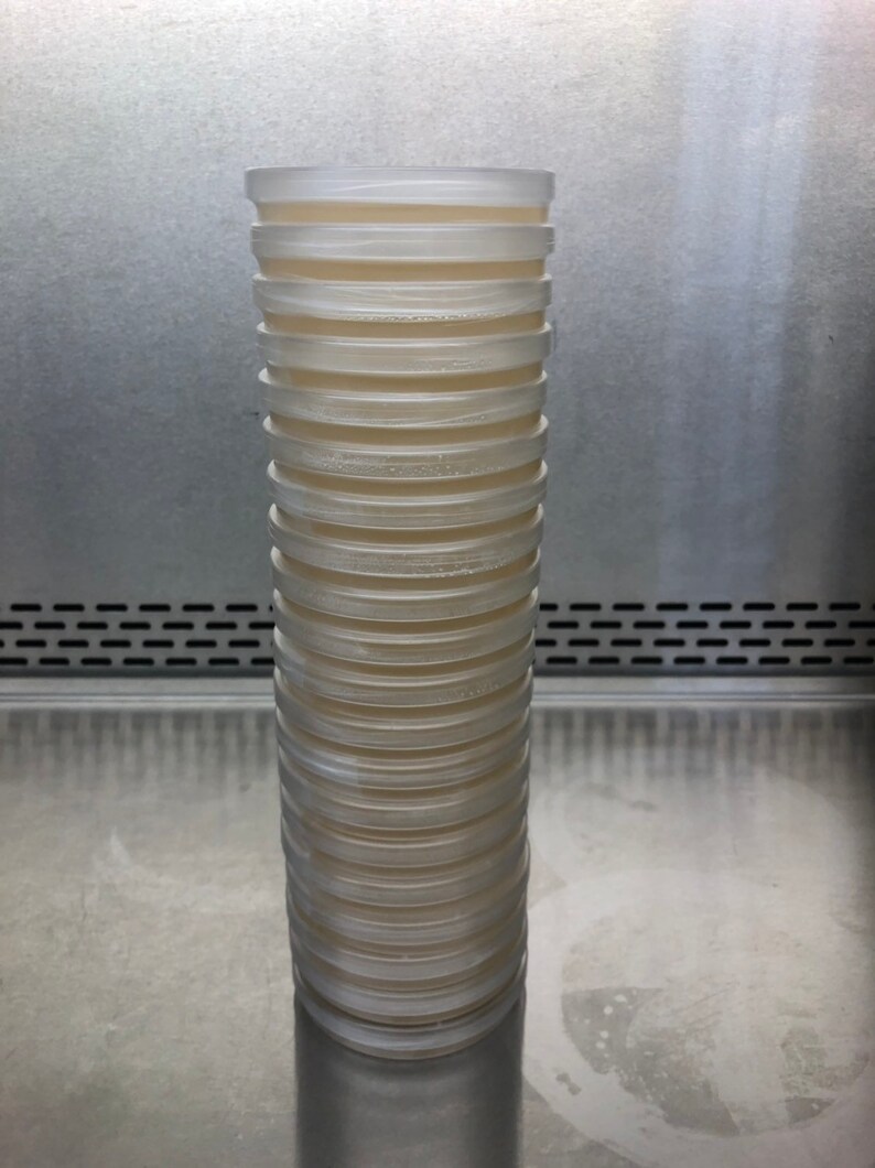 Pre-poured Oatmeal Malt Yeast Extract Agar Petri Dishes Plastic 100mm x 15mm with Parafilm 20 OMYA