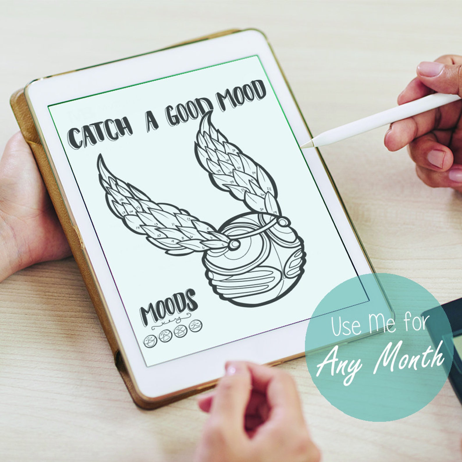 Harry Potter Mood Tracker Printable Quidditch Snitch Bullet Etsy