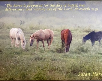 Horses’ Soul Photograph in Frame