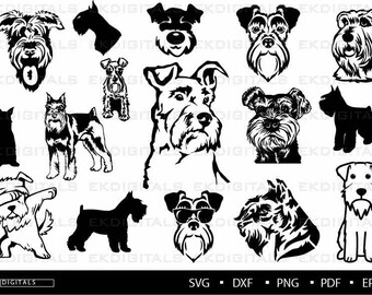 Schnauzer Svg Etsy