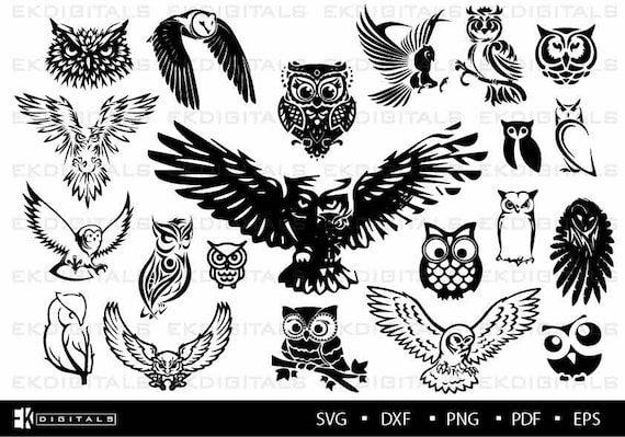 Download Nocturnal Owl Bundle Vinyl Logo Decal Stencil Clipart Etsy