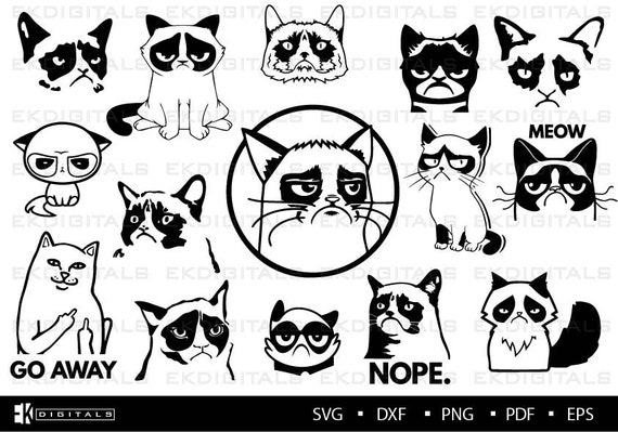 Grumpy Angry Cat Illustration Graphic by Topstar · Creative Fabrica