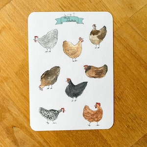 Feuille d'autocollants mini poules 8 motifs | Races de poulets | Jardin | aquarelle