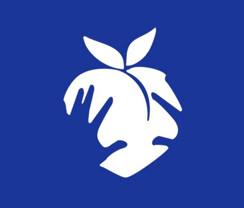 Drake Life Is Good Future VInyl Decal Sticker Etsy