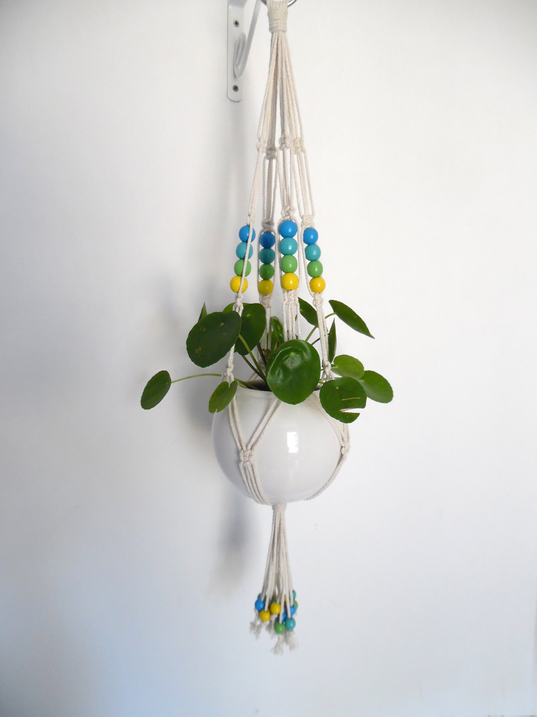 Suspension Pour Plante - Ananas